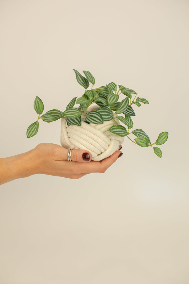 Mini Unbound Planter White