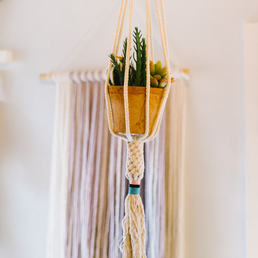 The Dignity Plant Hanger - Blush