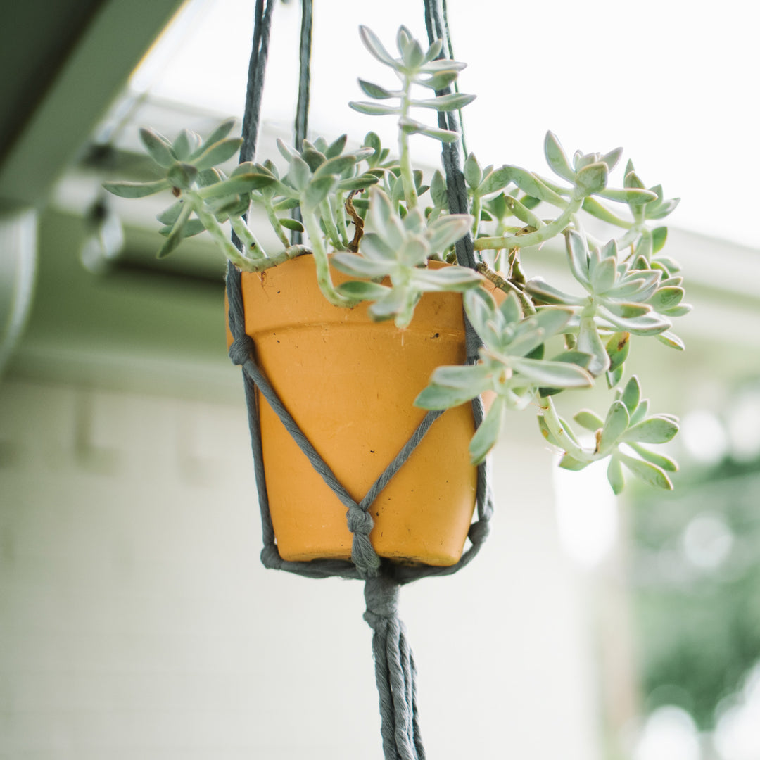 Flourish Plant Hanger Blue Grey