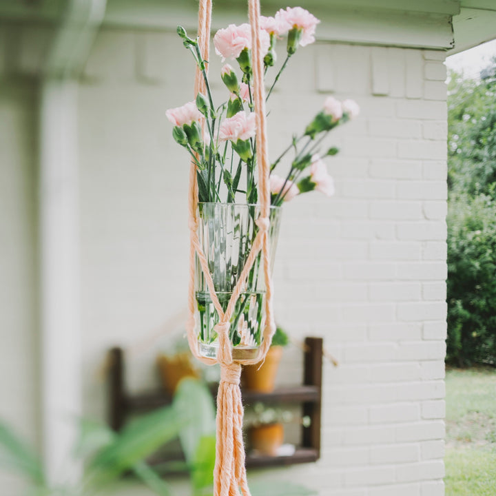 Flourish Plant Hanger Blush