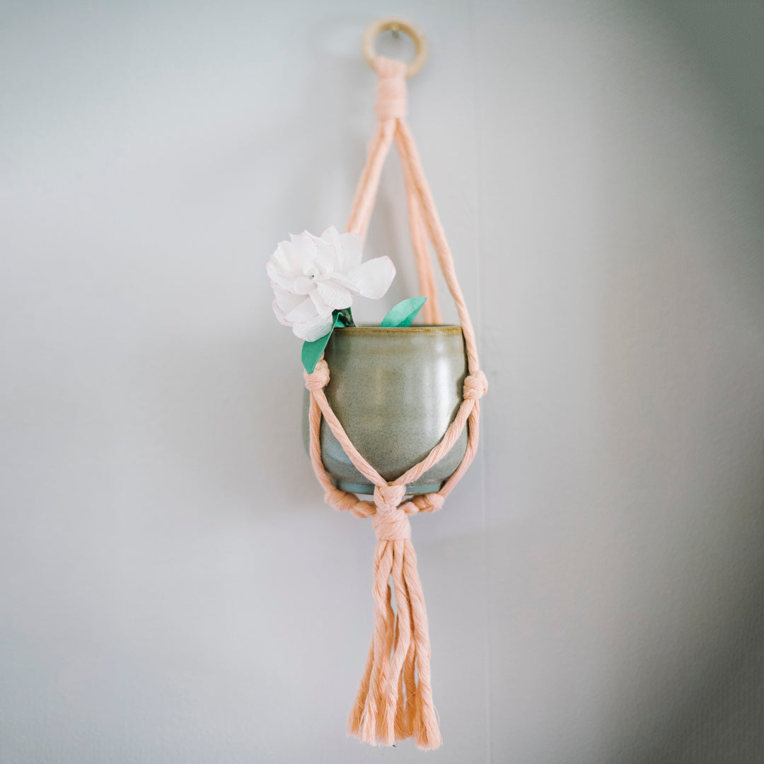 Mini Flourish Plant Hanger Blush