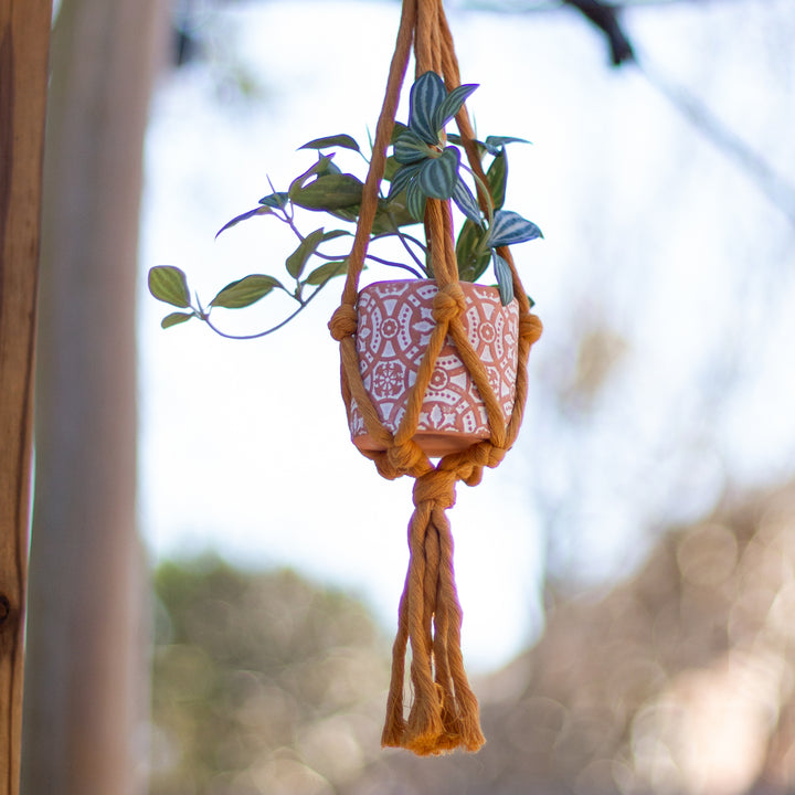 Mini Flourish Plant Hanger Mustard