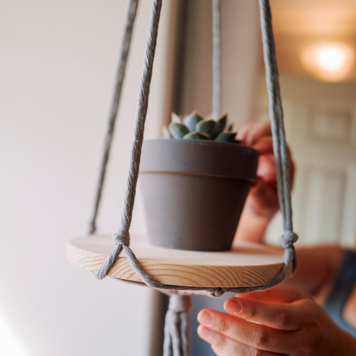 Circle Shelf Insert