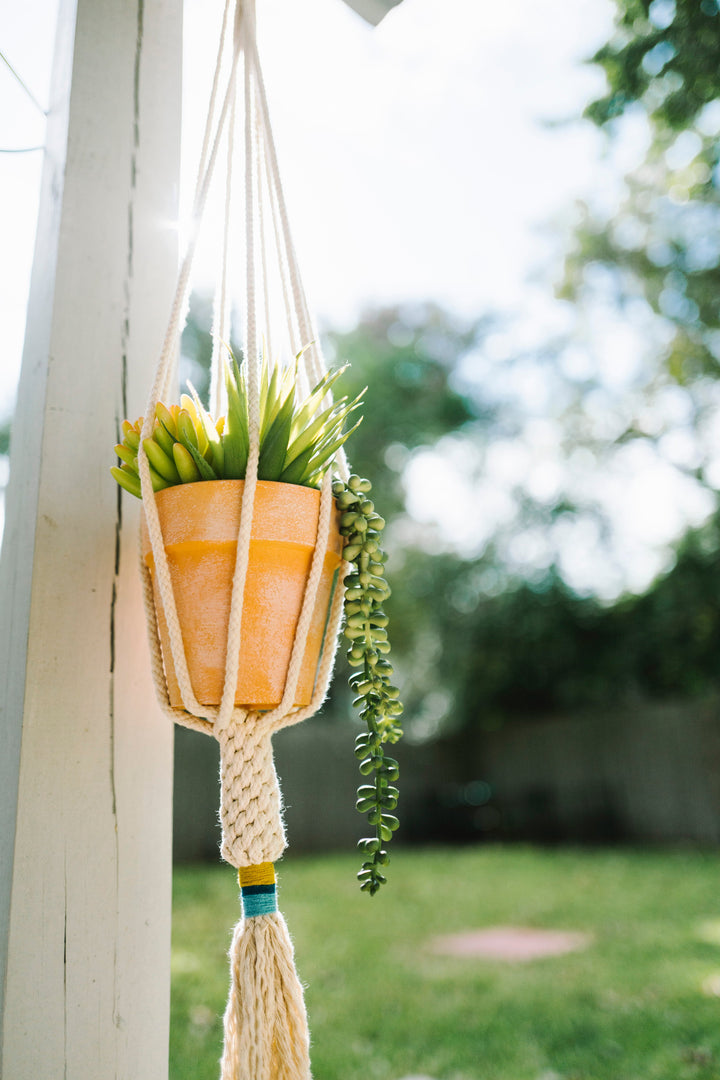 The Dignity Plant Hanger- Mustard