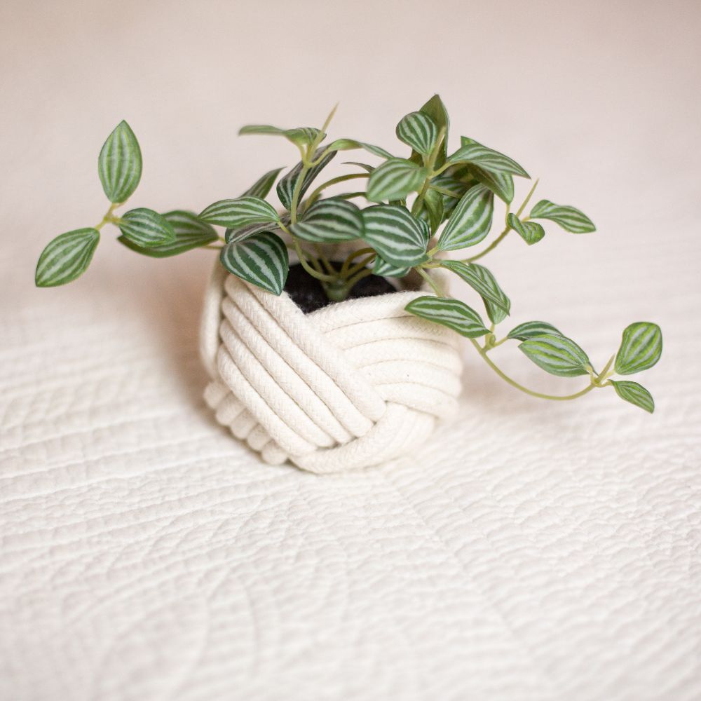 white monkey knot rope planter knotted planter